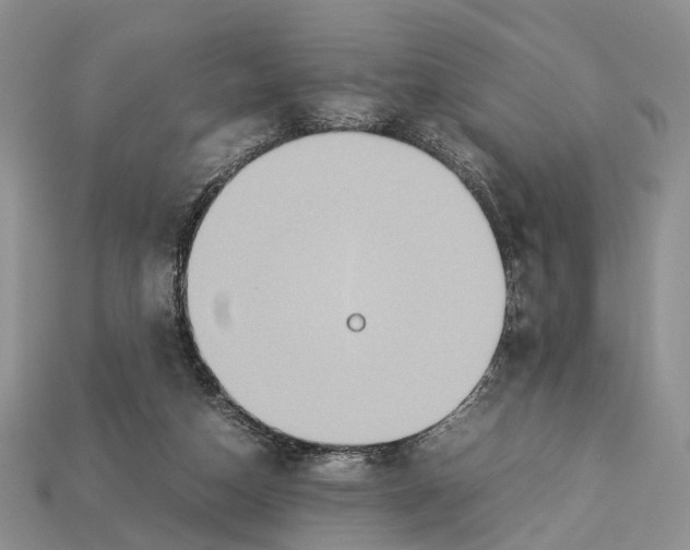 X0000112950162200909211202