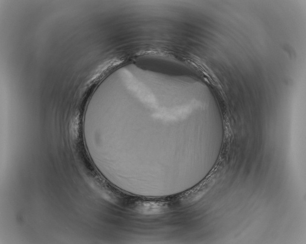 X0000112950163200909211202