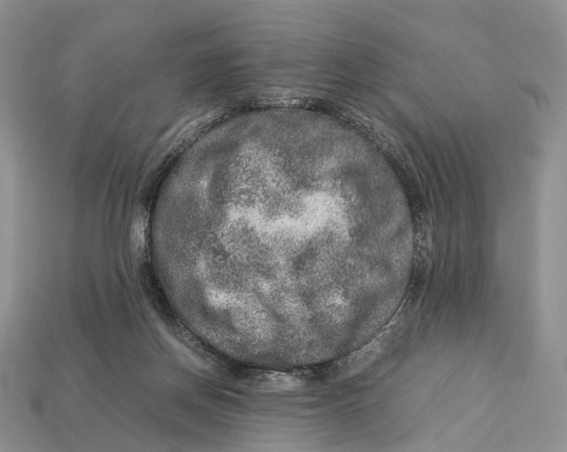 X0000112950166200909211202