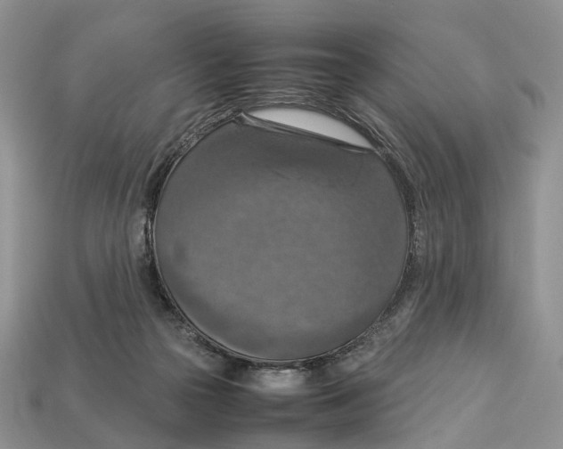 X0000112950169200909211202