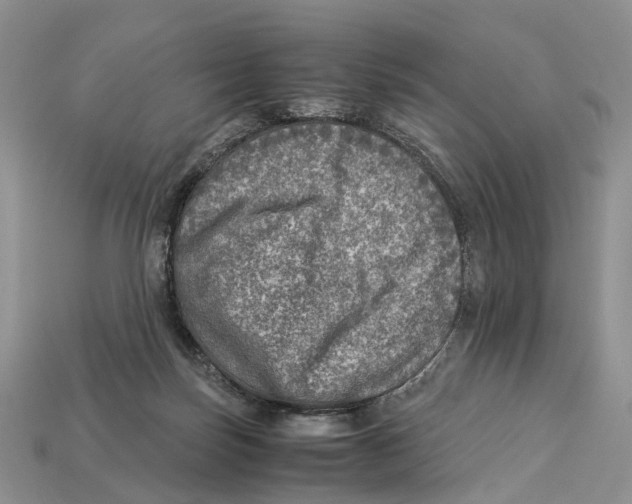 X0000112950171200909211202