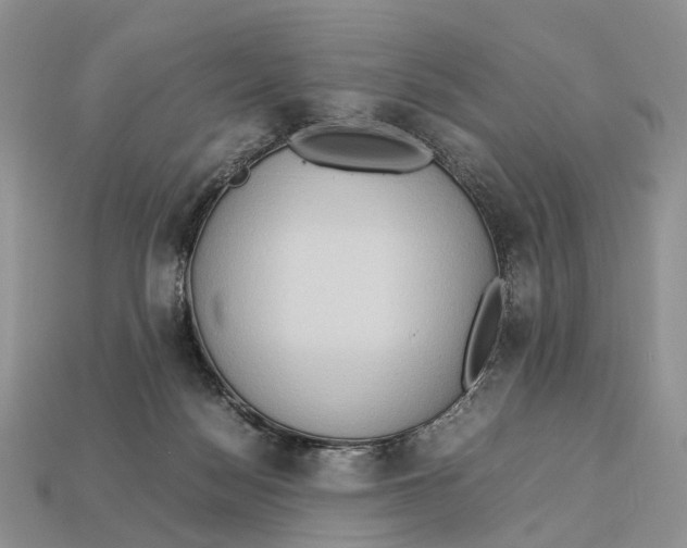 X0000112950172200909211202