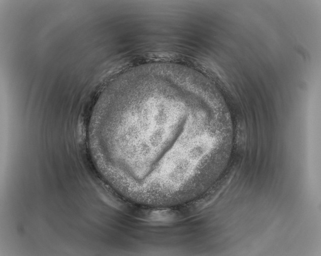X0000112950173200909211202
