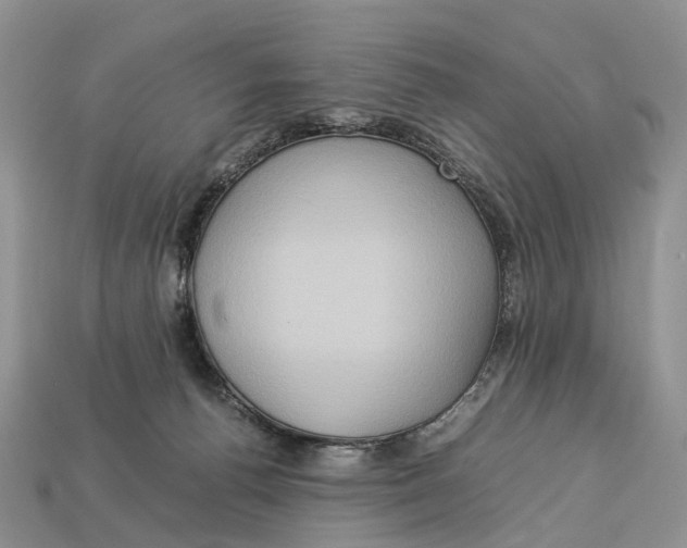 X0000112950176200909211202