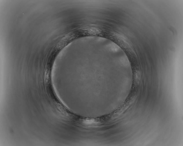 X0000112950177200909211202