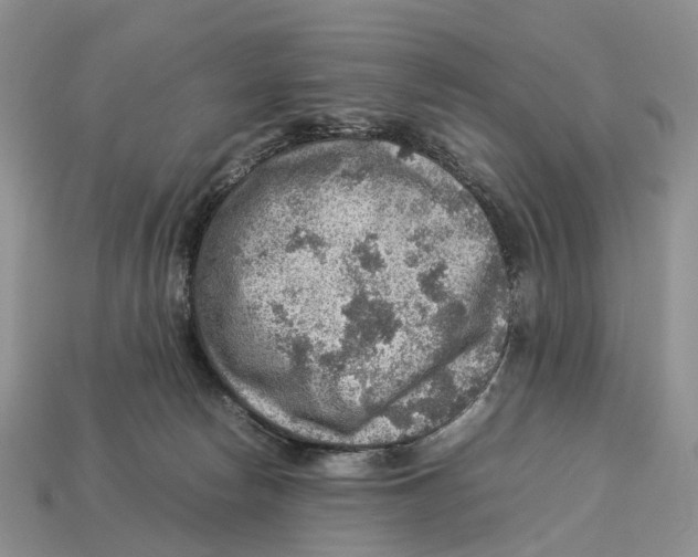 X0000112950178200909211202