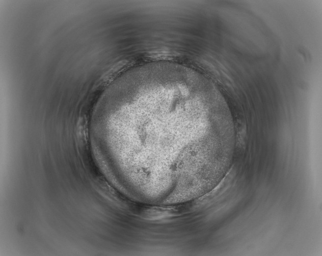 X0000112950179200909211202