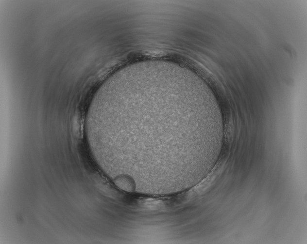 X0000112950180200909211202