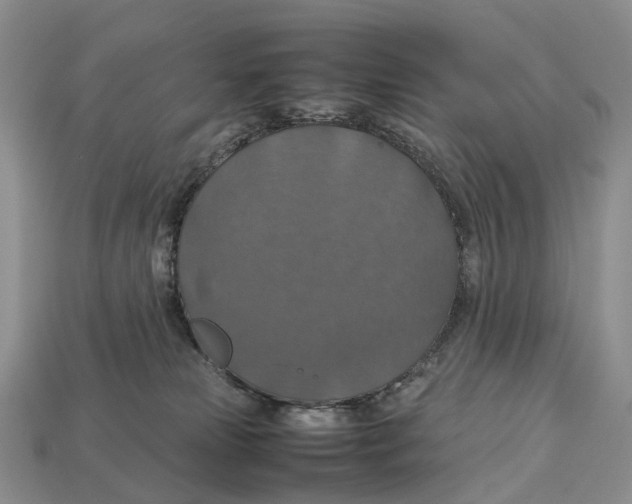 X0000112950181200909211202