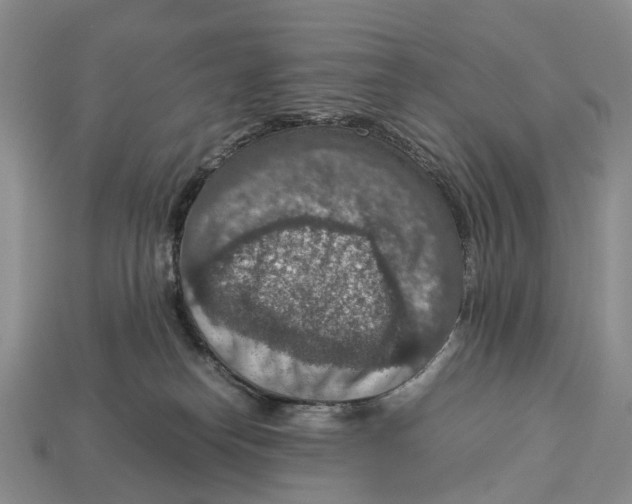 X0000112950182200909211202