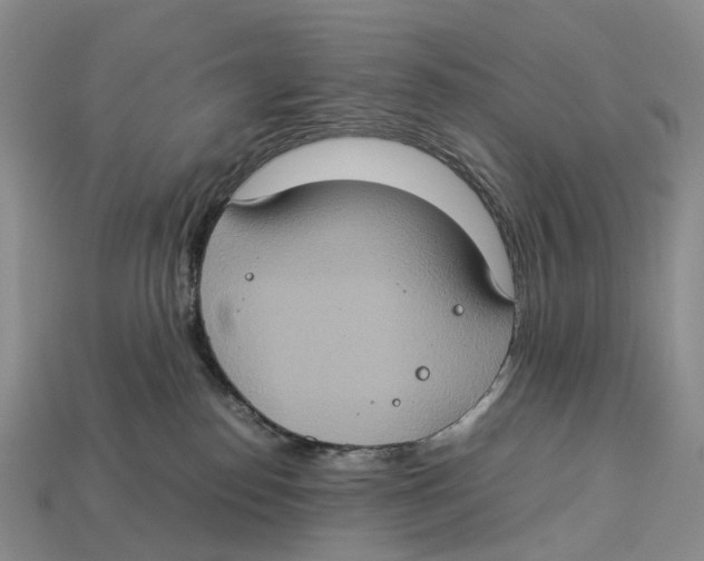 X0000112950186200909211202
