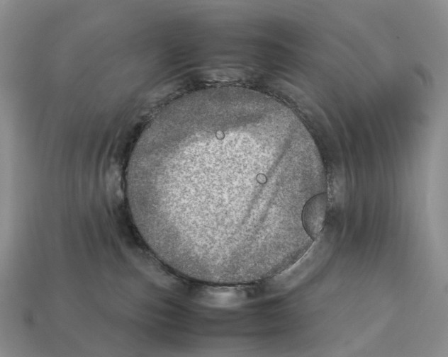 X0000112950187200909211202