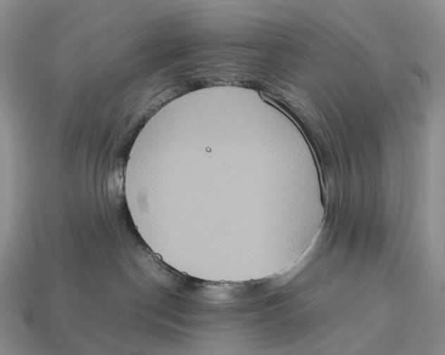 X0000112950190200909211202