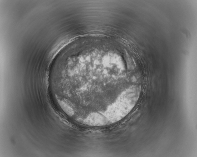 X0000112950194200909211201
