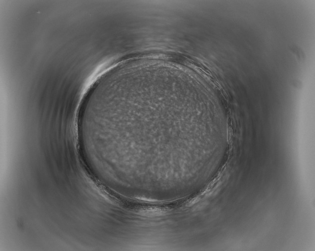 X0000112950198200909211201