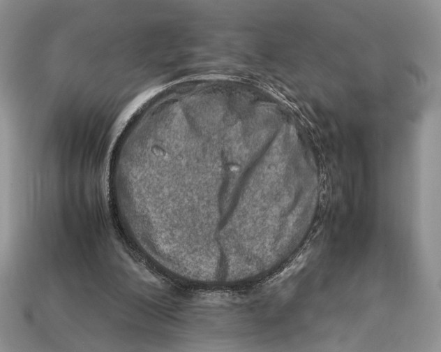 X0000112950200200909211201