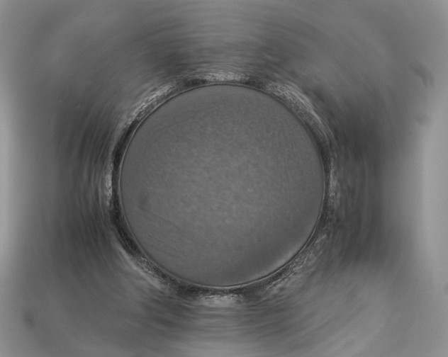 X0000112950202200909211201