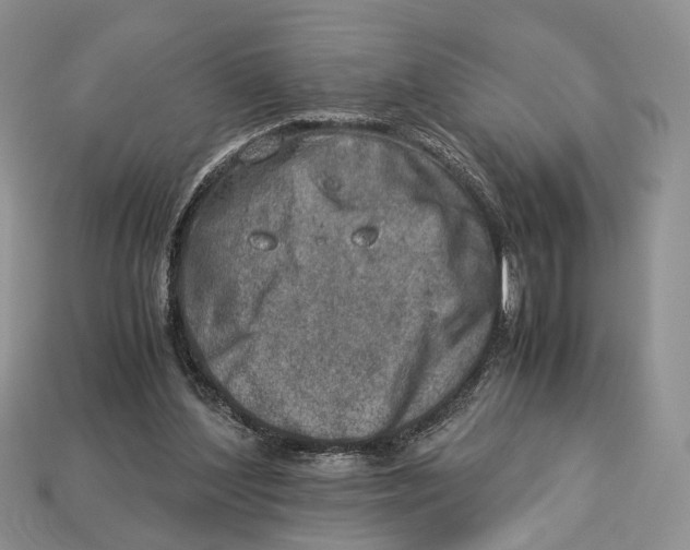 X0000112950204200909211201
