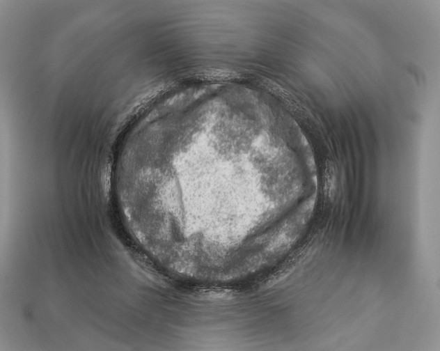 X0000112950206200909211201