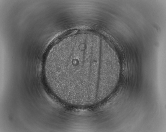 X0000112950208200909211201
