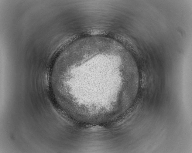 X0000112950210200909211201