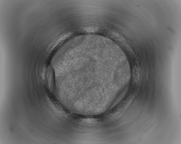 X0000112950212200909211201