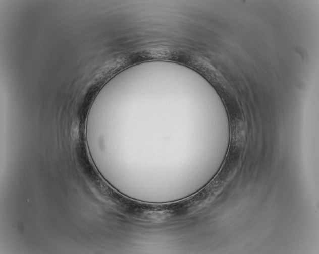 X0000112950213200909211201