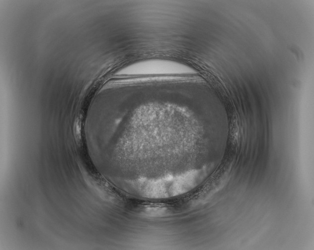 X0000112950214200909211201