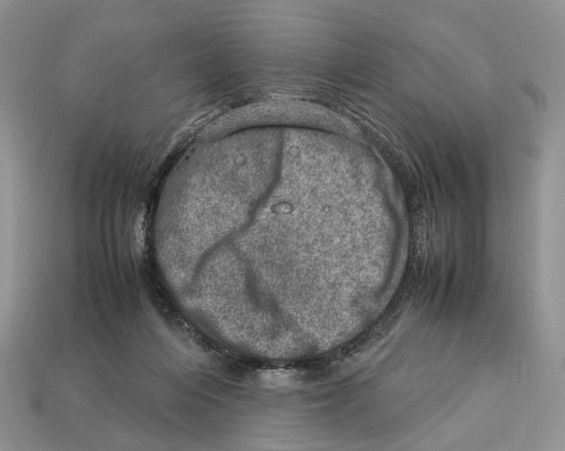 X0000112950216200909211201
