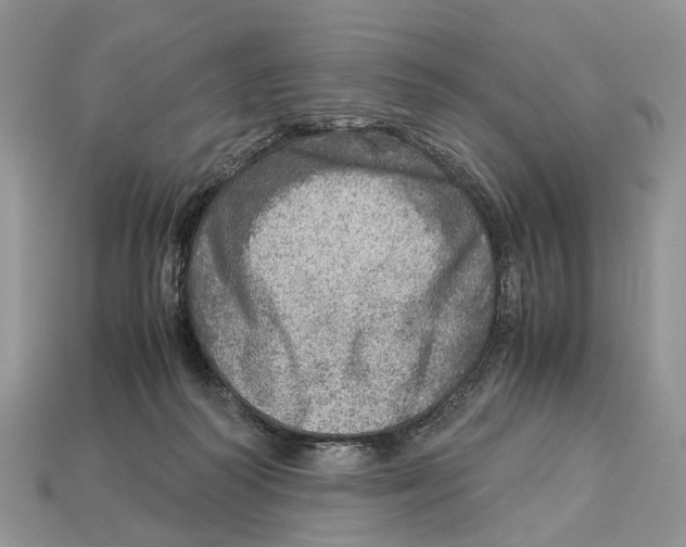 X0000112950218200909211201