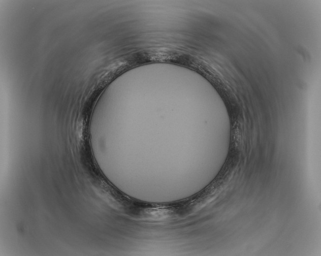 X0000112950219200909211201