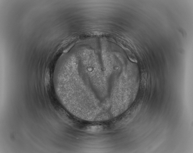 X0000112950220200909211201