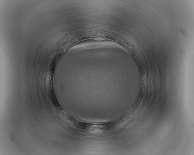 X0000112950222200909211201
