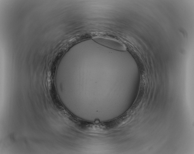 X0000112950223200909211201