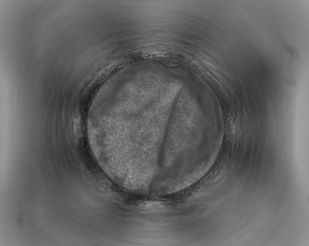 X0000112950224200909211201