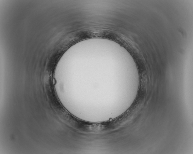 X0000112950225200909211201