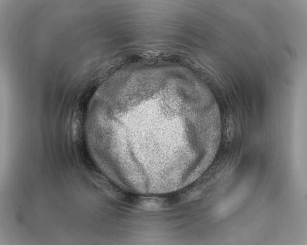 X0000112950226200909211201