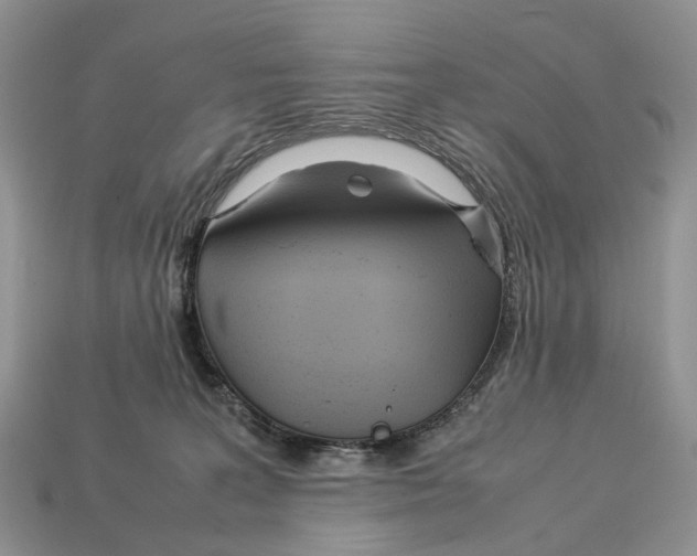X0000112950227200909211201