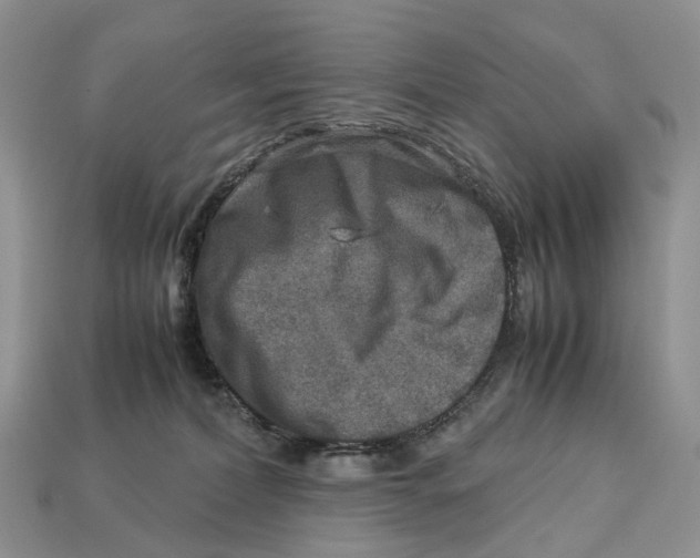 X0000112950228200909211201