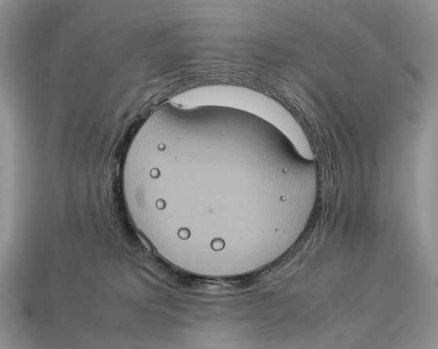 X0000112950229200909211201