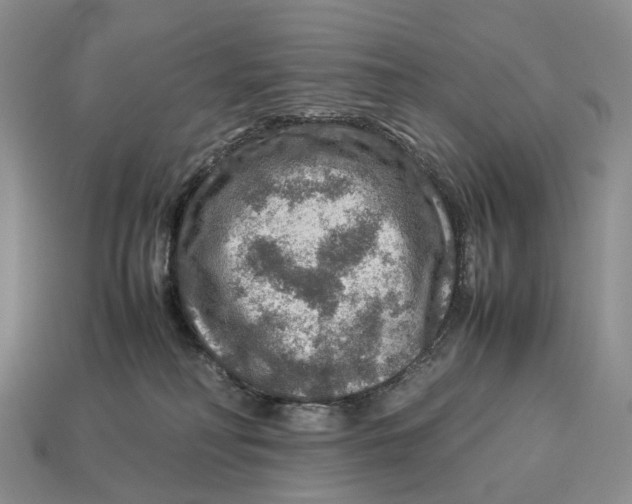 X0000112950230200909211201