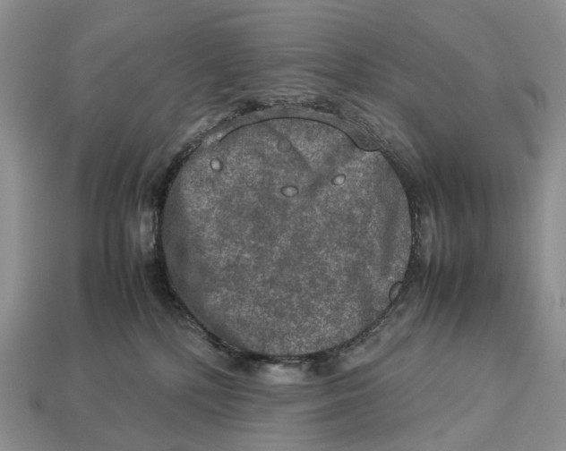 X0000112950232200909211201