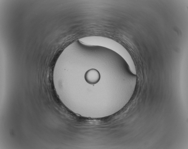 X0000112950233200909211201