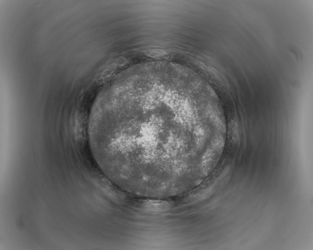 X0000112950234200909211201