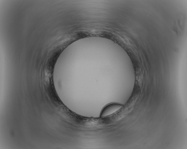 X0000112950235200909211201