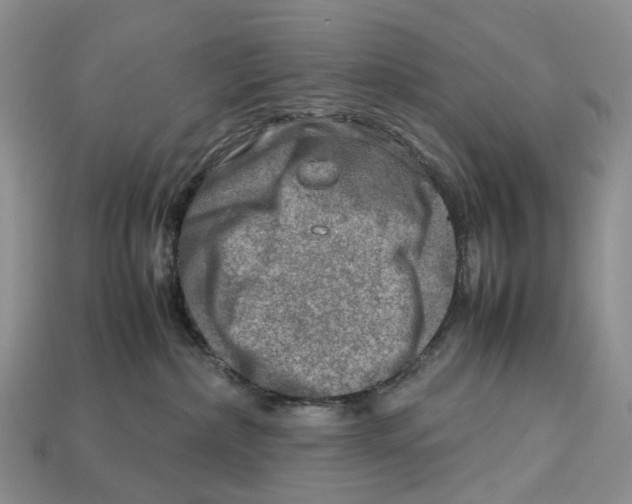 X0000112950236200909211201