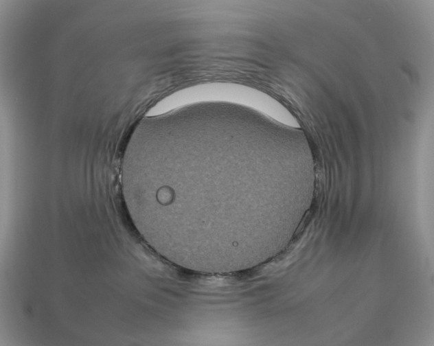 X0000112950237200909211201