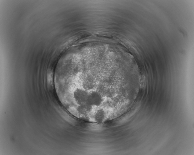 X0000112950238200909211201