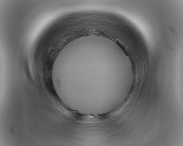 X0000112950239200909211201