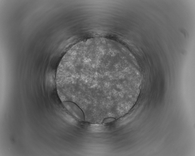 X0000112950240200909211201